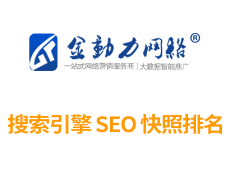 网站seo