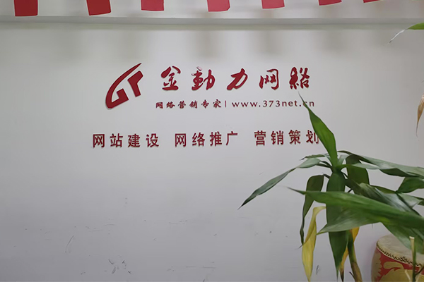 网络公司