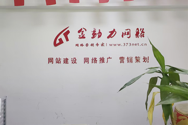 河南金动力网络推广公司2025年比较好多网络推广方式有哪些？