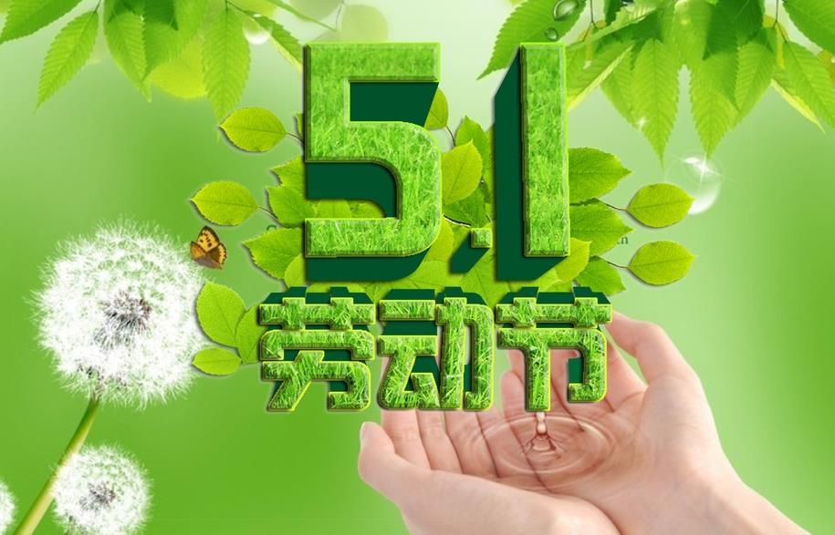 金动力网络